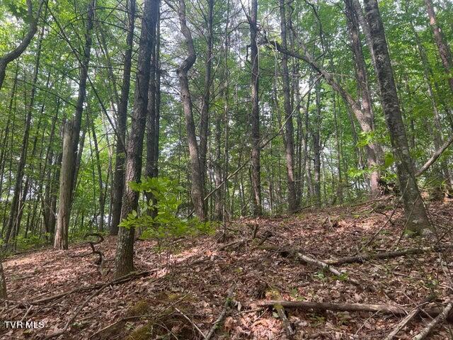 Photo #29: Tbd John Glover Road