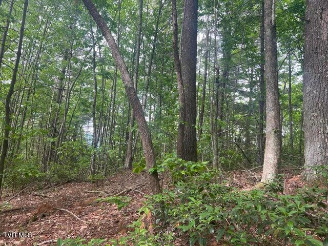 Photo #30: Tbd John Glover Road