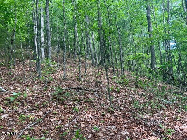 Photo #31: Tbd John Glover Road