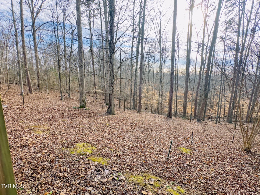 Photo #26: 978 Beechwood Drive