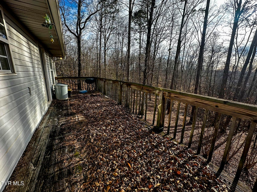 Photo #29: 978 Beechwood Drive