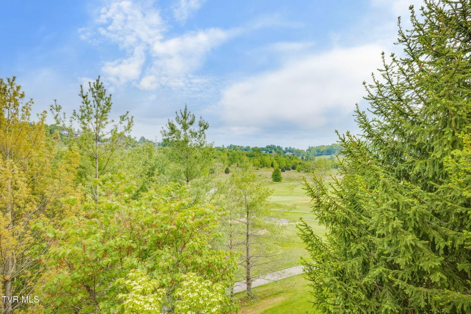 Photo #52: 119 Quail Ridge Way