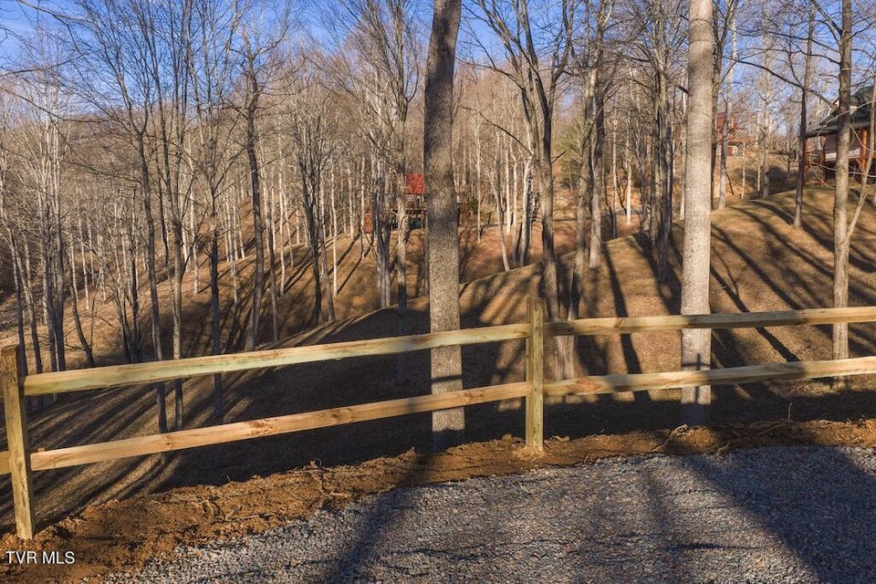 Photo #43: 1135 Cherry Springs Lane