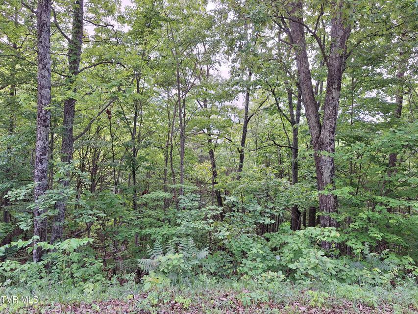 Photo #13: 409 Dean Road