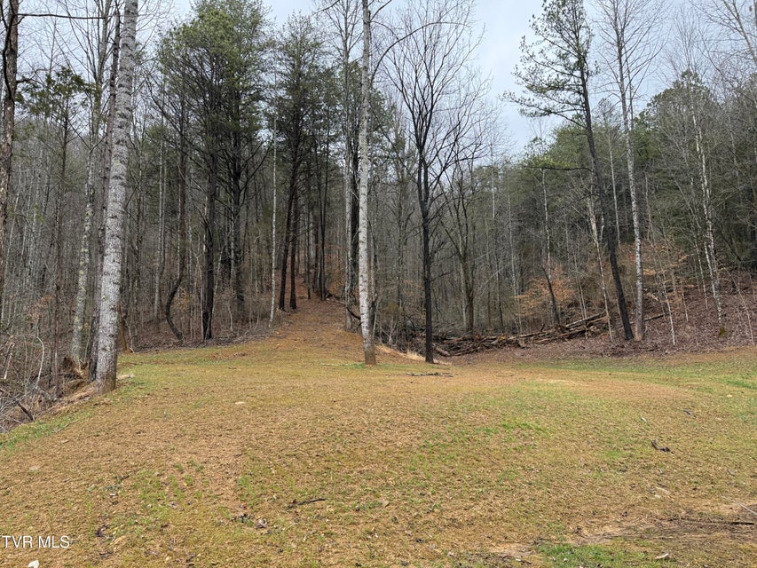 Photo #37: 471 Early Branch Road