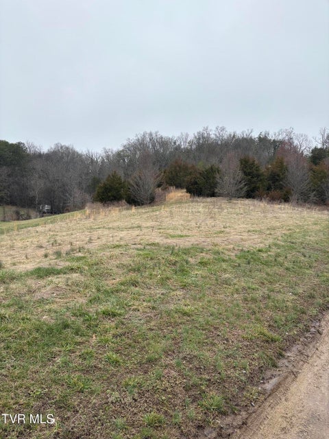 Photo #2: 2 Ac Dulaney 