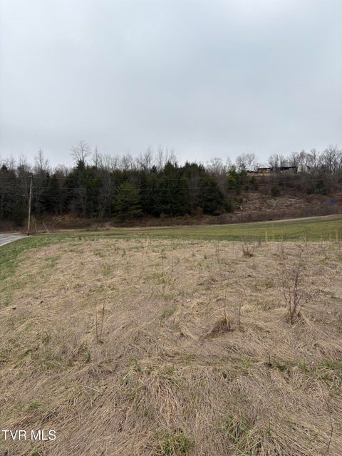 Photo #3: 2 Ac Dulaney 