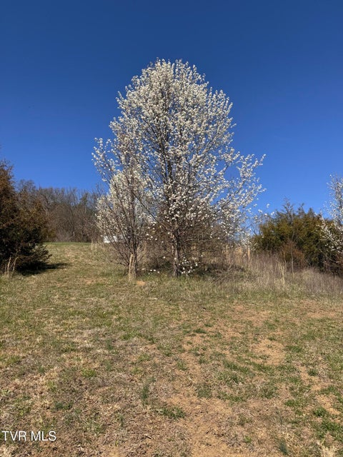 Photo #7: 2 Ac Dulaney 