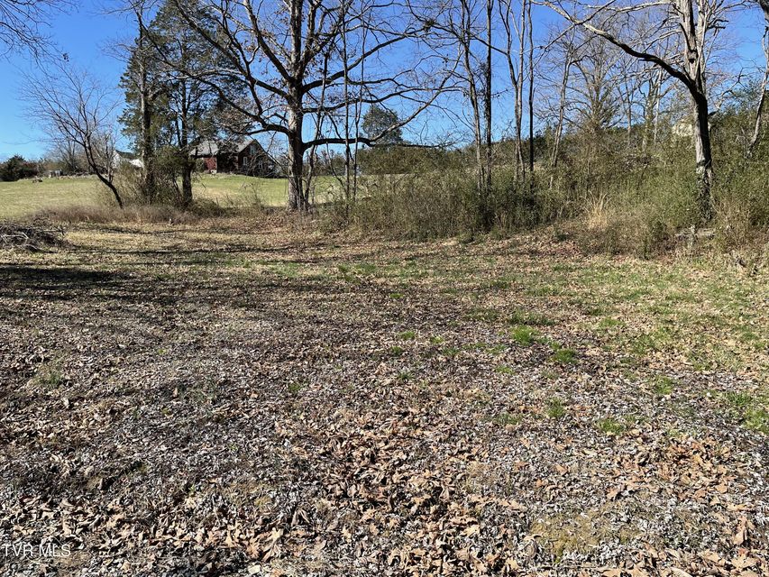 Photo #30: 229 Grigsby School Road