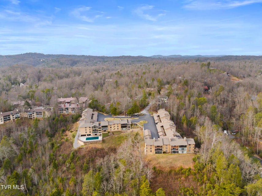 Photo #30: 1824 Oriole Road