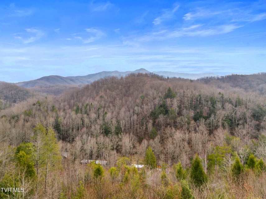 Photo #25: 1824 Oriole Road