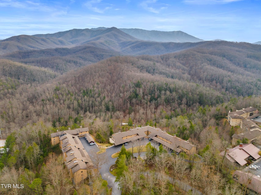 Photo #31: 1824 Oriole Road