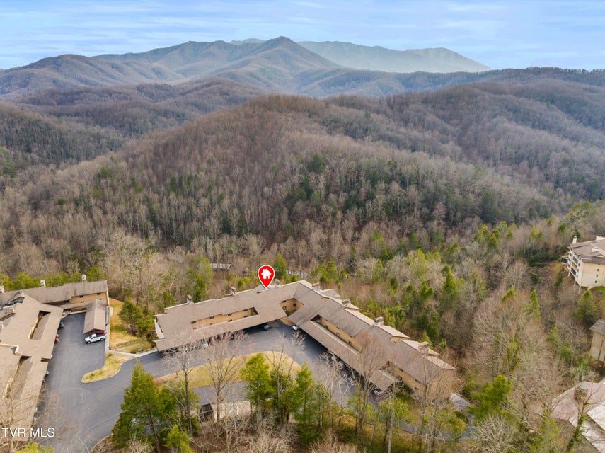 Photo #2: 1824 Oriole Road