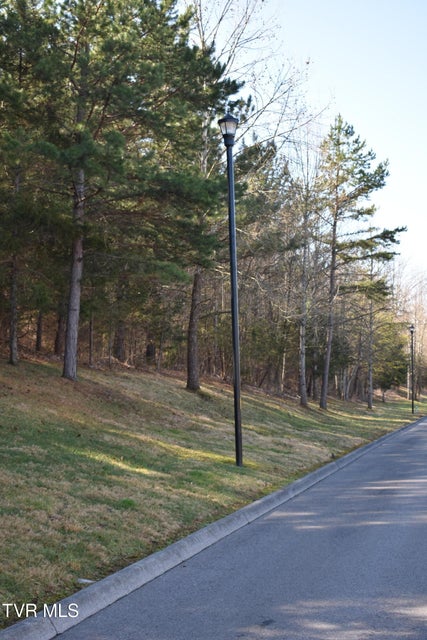 Photo #8: 000 Breckenridge Trace