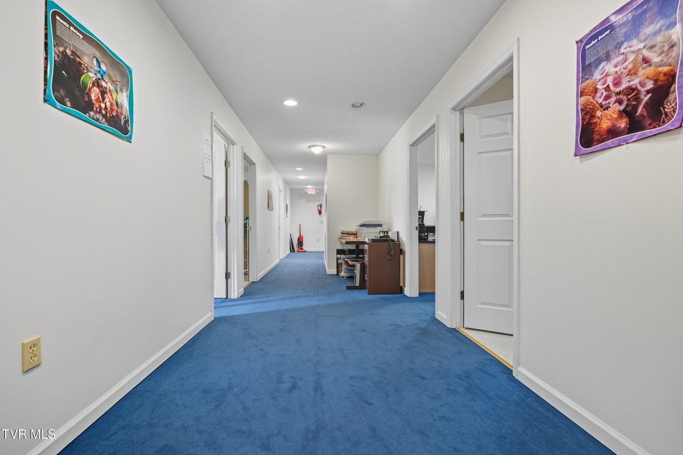 Photo #29: 368 Clay Street