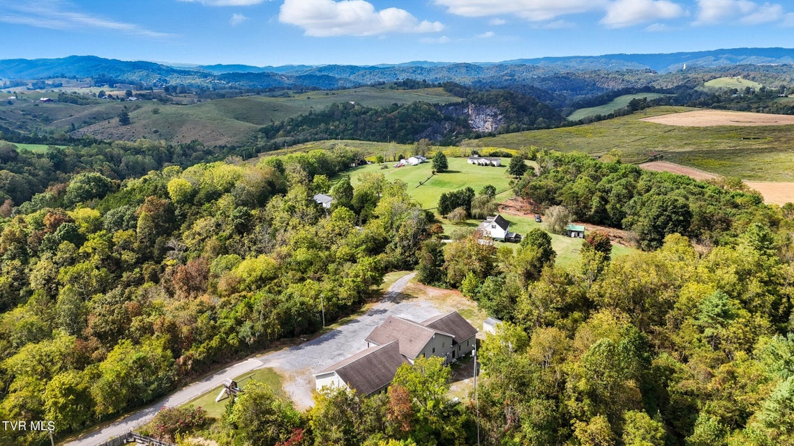 Photo #49: 368 Clay Street