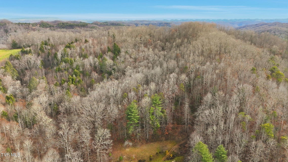 Photo #4: Tbd River Lane