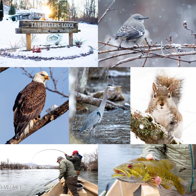 Photo #19: 383 Tva Road