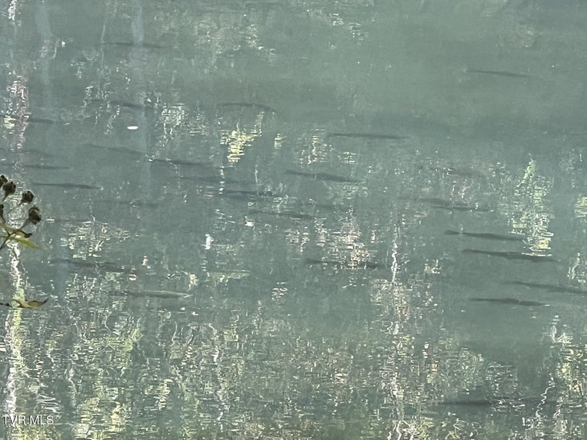 Photo #20: 383 Tva Road