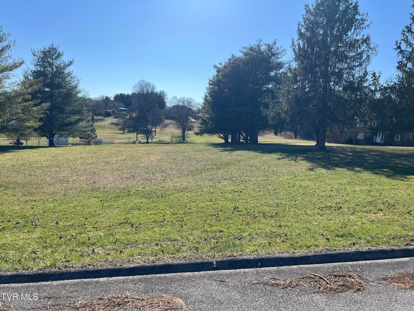 Photo #4: 0 Primrose Court