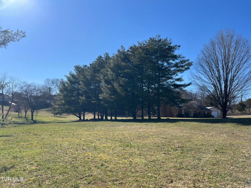 Photo #2: 0 Primrose Court