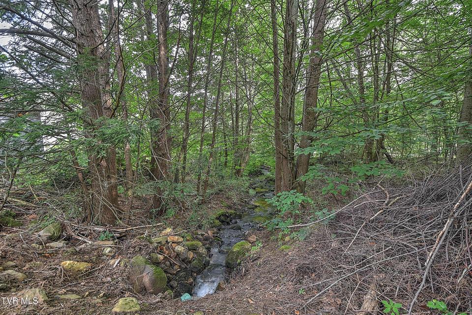 Photo #49: 122 Chase Drive