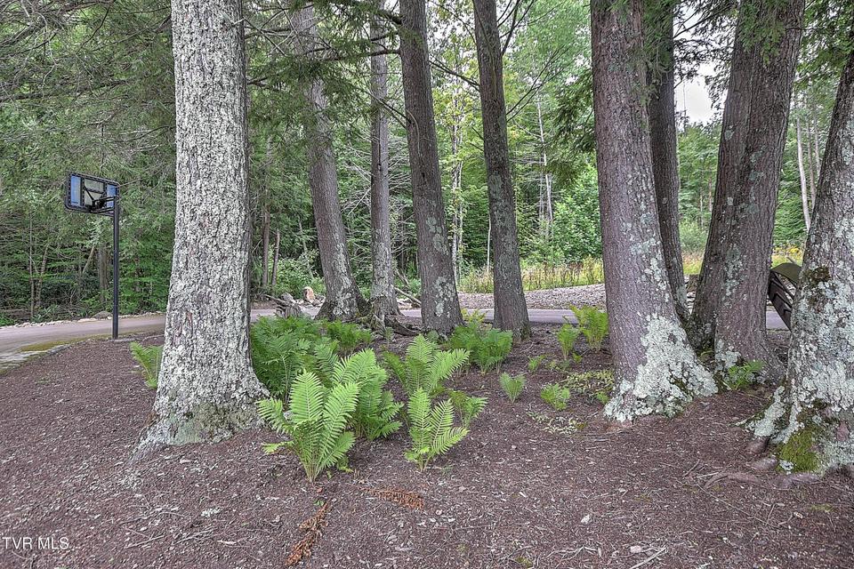 Photo #51: 122 Chase Drive