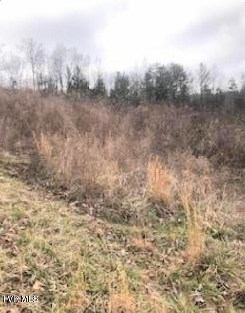 Photo #3: Tbd Pinnacle Pointe Way