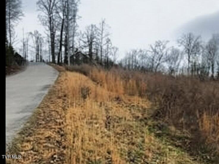 Photo #4: Tbd Pinnacle Pointe Way