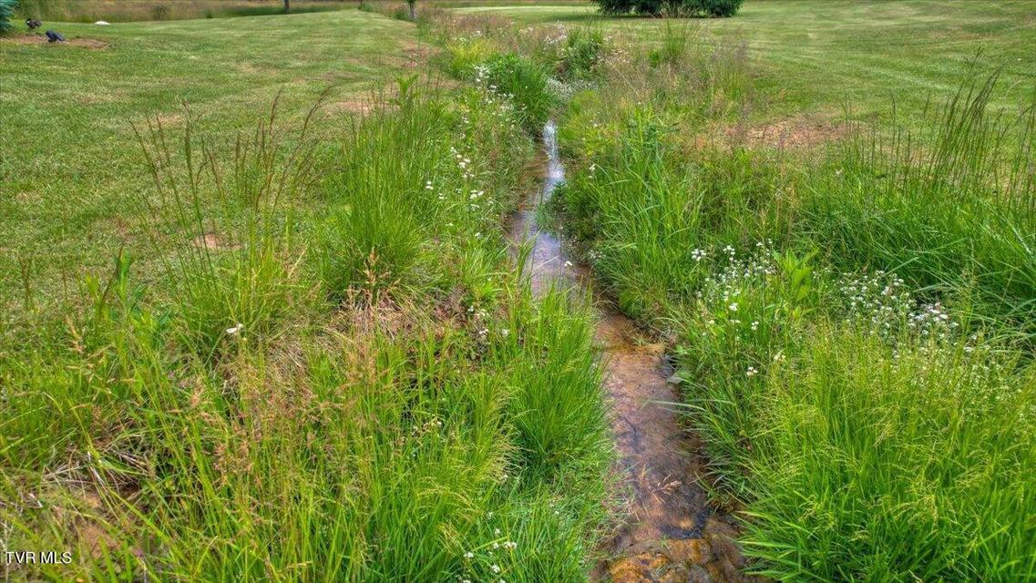 Photo #59: 123 Bermuda Drive