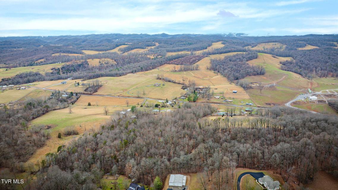 Photo #58: 1308 Reedy Creek Road