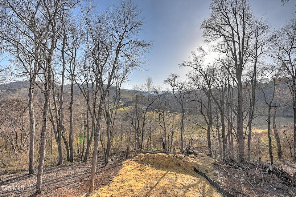 Photo #38: 143 Daniel Lane