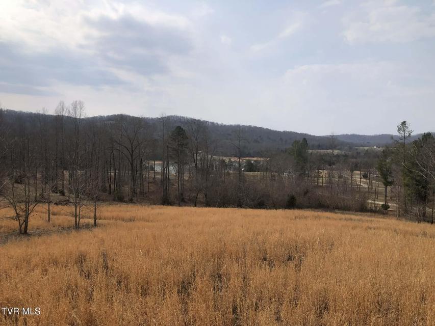 Photo #12: Tbd Pinnacle Pointe Way