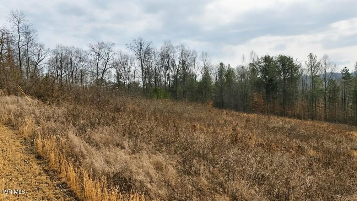 Photo #21: Tbd Pinnacle Pointe Way