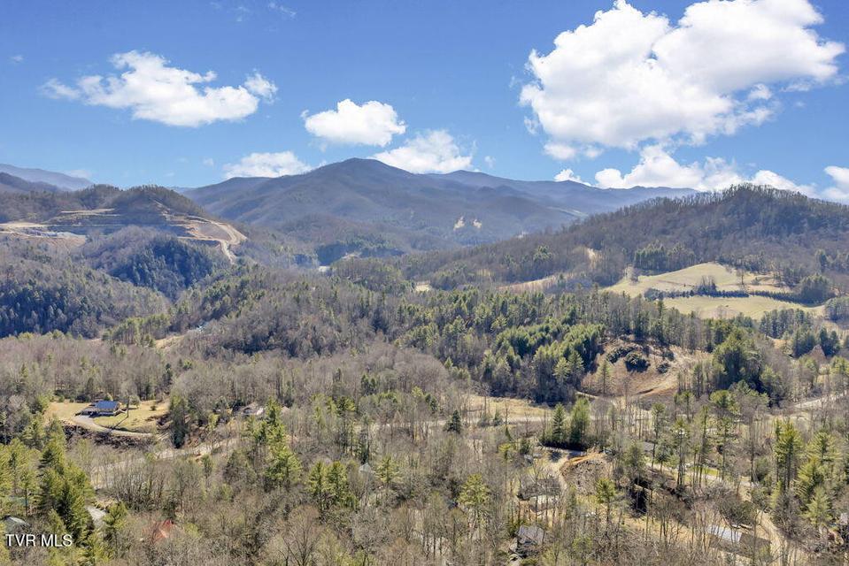 Photo #49: 319 Ivy Wood Lane