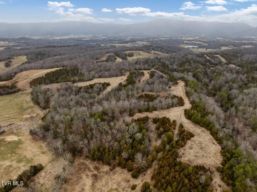 Photo #4: Tbd Smithtown Road