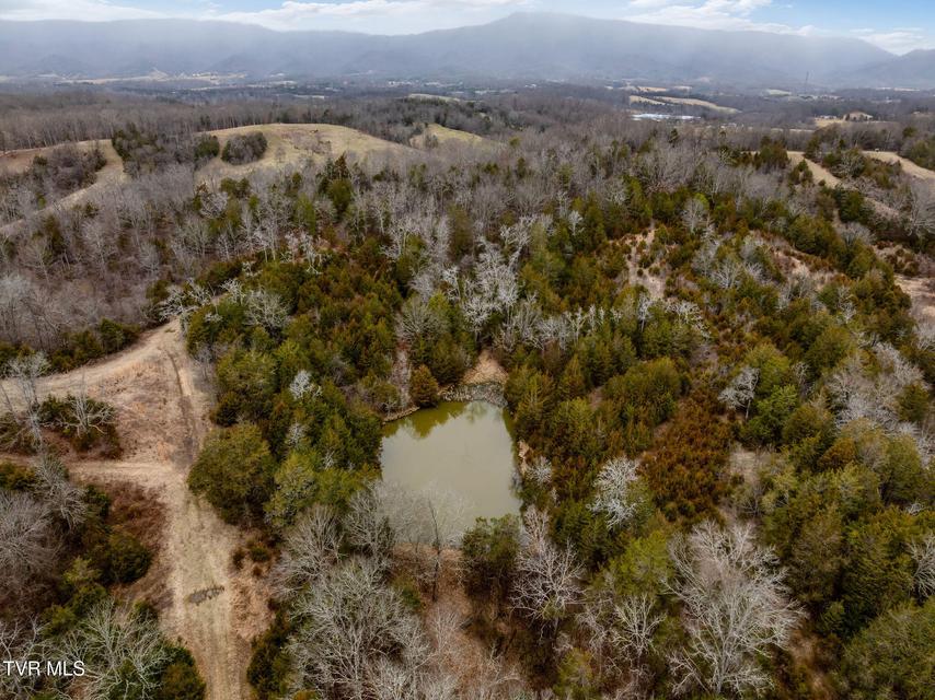 Photo #9: Tbd Smithtown Road