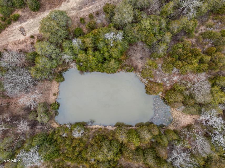 Photo #10: Tbd Smithtown Road