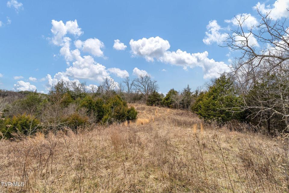 Photo #18: Tbd Smithtown Road