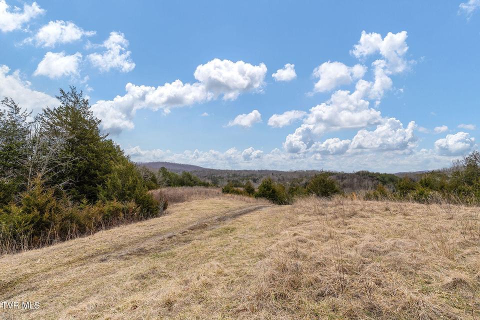 Photo #19: Tbd Smithtown Road