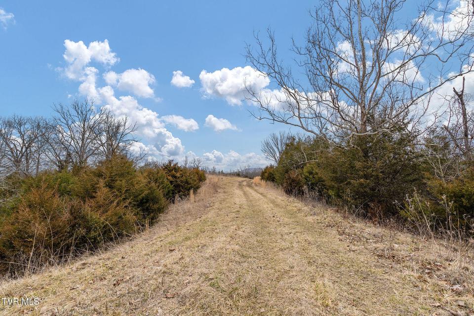 Photo #20: Tbd Smithtown Road