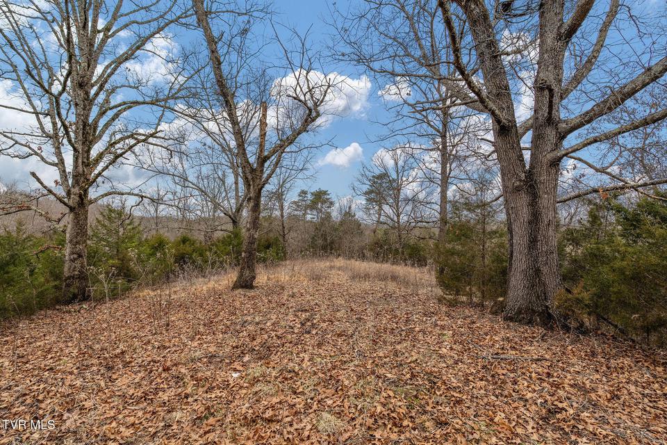 Photo #21: Tbd Smithtown Road