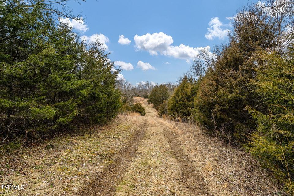 Photo #22: Tbd Smithtown Road