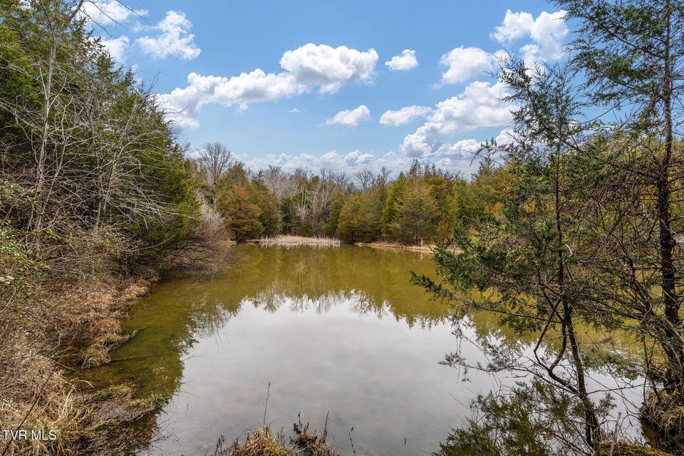 Photo #11: Tbd Smithtown Road