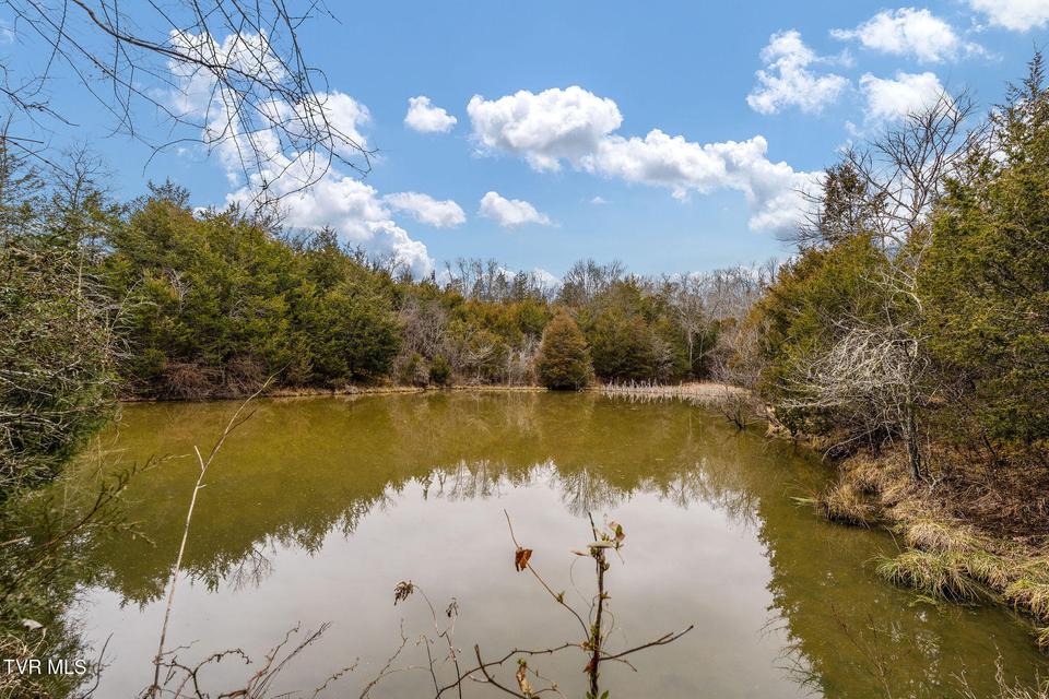 Photo #12: Tbd Smithtown Road