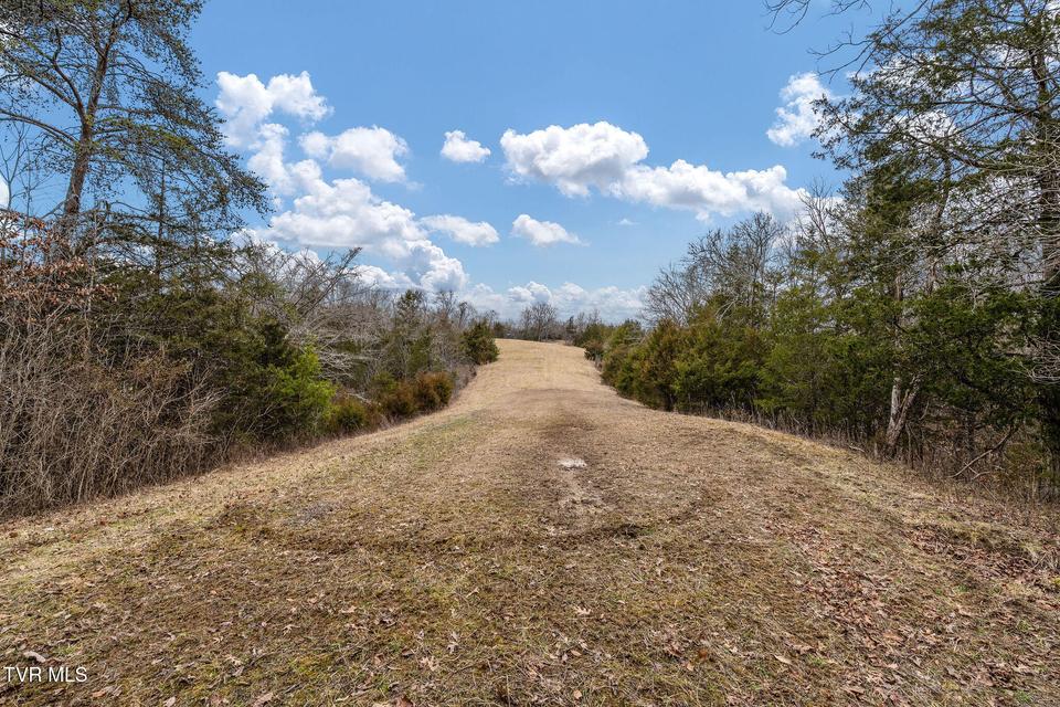 Photo #24: Tbd Smithtown Road