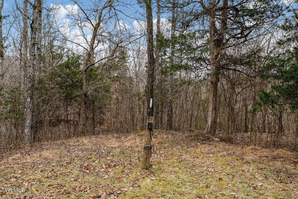 Photo #26: Tbd Smithtown Road