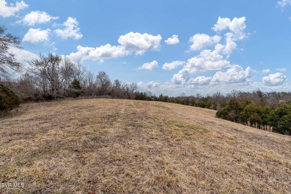 Photo #27: Tbd Smithtown Road