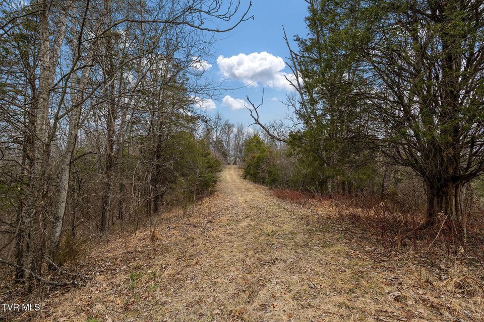 Photo #28: Tbd Smithtown Road