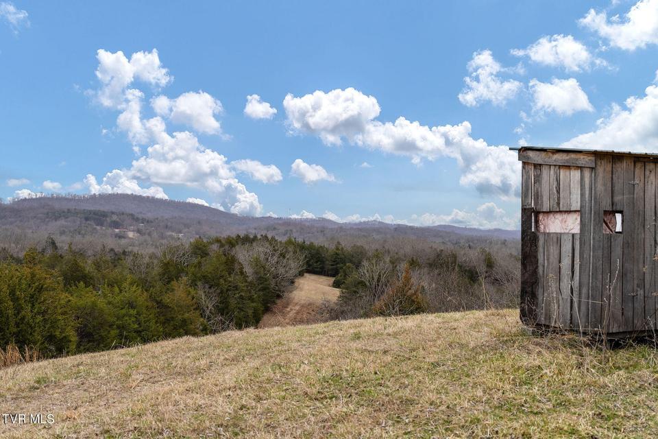 Photo #30: Tbd Smithtown Road